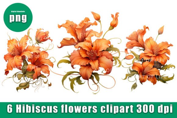Clip Art Illustration Hibiscus Flower