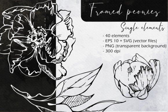 Framed Peonies Single Elements