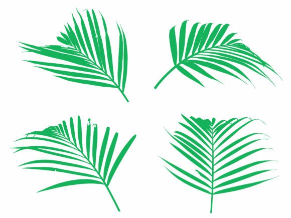 Palm Green Leaves Background