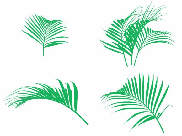 Tropical Green Leaves Background
